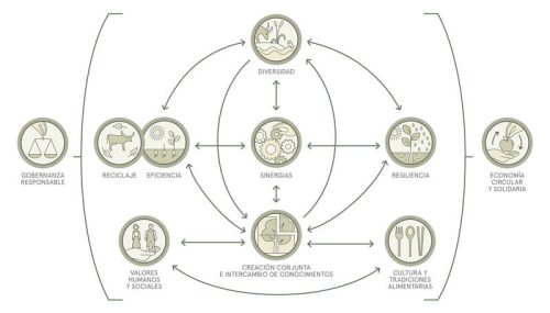 Figura obtenida de https://www.fao.org/agroecology/overview/10-elements/es/